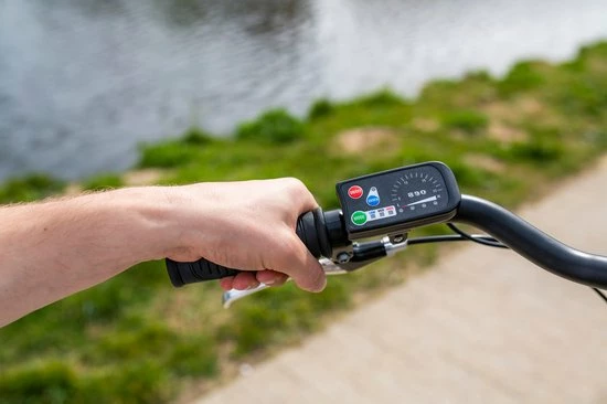 Amigo E-Vibe D1 - Elektrische Stadsfiets Voor Dames - Met 7 Versnellingen - Matgrijs 5 Amigo E-Vibe D1 - Elektrische Stadsfiets Voor Dames - Met 7 Versnellingen - Matgrijs - Afbeelding 5