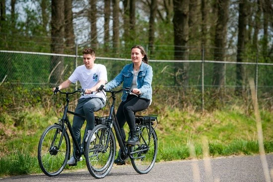 Amigo E-Vibe D1 - Elektrische Stadsfiets Voor Dames - Met 7 Versnellingen - Matgrijs 6 Amigo E-Vibe D1 - Elektrische Stadsfiets Voor Dames - Met 7 Versnellingen - Matgrijs - Afbeelding 6