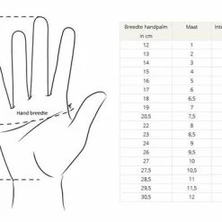Basic Touchscreen Sport Handschoenen - Maat M 9 Basic Touchscreen Sport Handschoenen - Maat M -Fietsen-Accessoires Shop 550x376 1